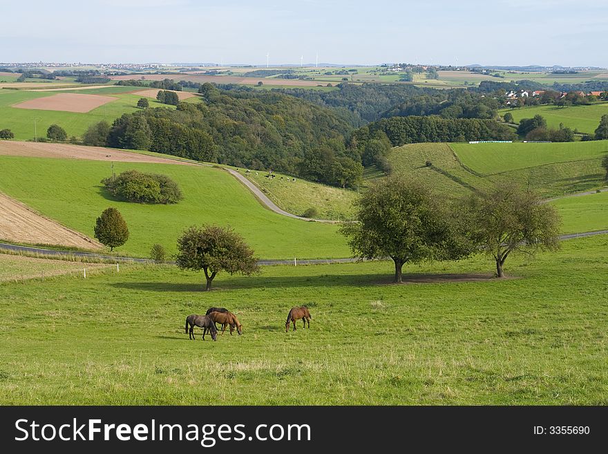 On a clear day you have magnificent views way into France from these quiet hills in the south-western part of Germany. On a clear day you have magnificent views way into France from these quiet hills in the south-western part of Germany.