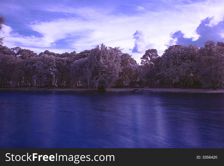 Forest by the river taken in IR. Forest by the river taken in IR