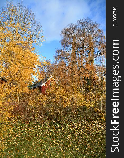 Red house in an autumn landscape