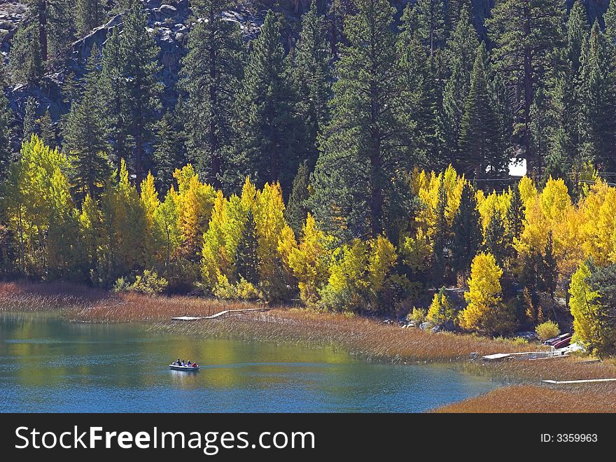 Bright yellow trees on shoreline of mountain lake with fishing boat. Bright yellow trees on shoreline of mountain lake with fishing boat