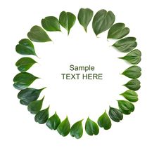 Green Leaves Border Stock Photography Green Leaves Border Stock Photography