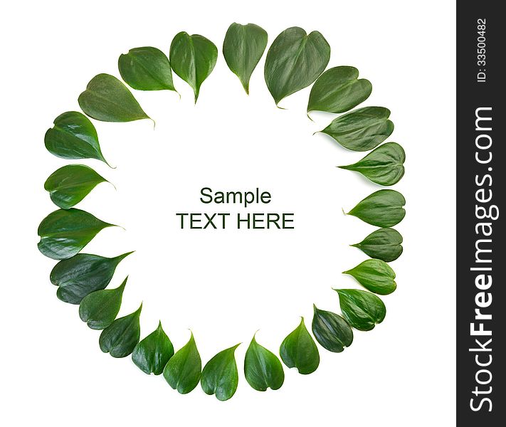 Fresh green heart shape leaves arranged in a circle border on white background. Fresh green heart shape leaves arranged in a circle border on white background