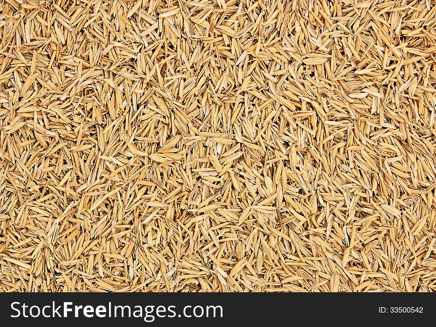 Rice husks background and texture