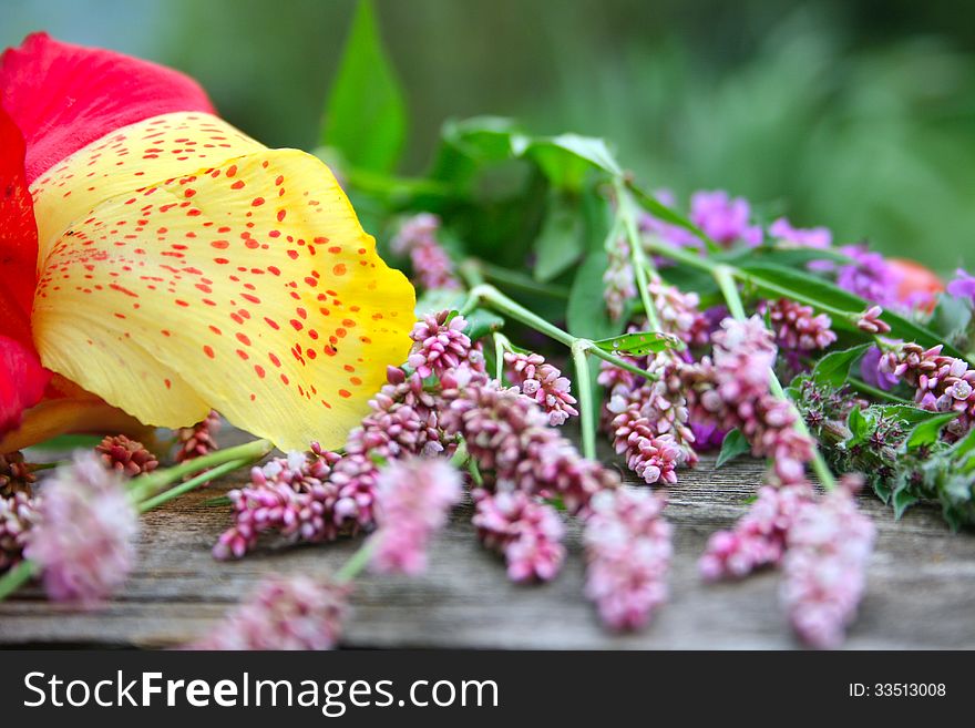 Colorful season flowers on wooden table