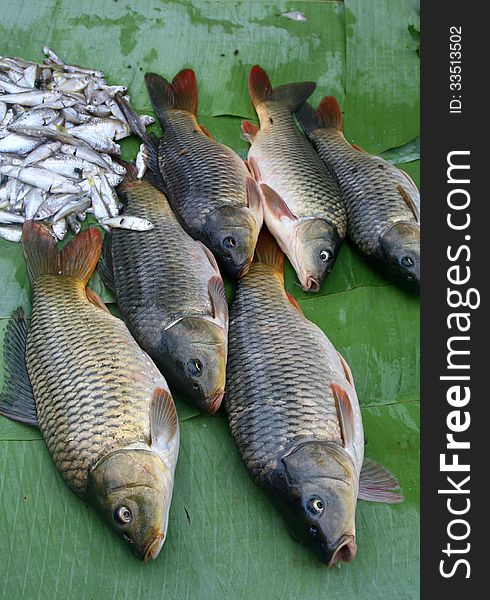 Fresh Fish Decorated On Banana Leaves, Asian Cuisine