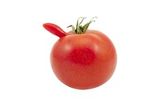 Genuine Homegrown Red Tomato With A Nose Royalty Free Stock Photos