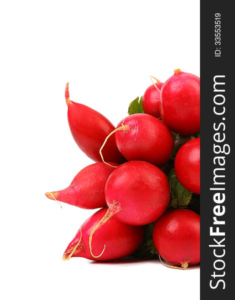 Bunch of radish isolated on a white background