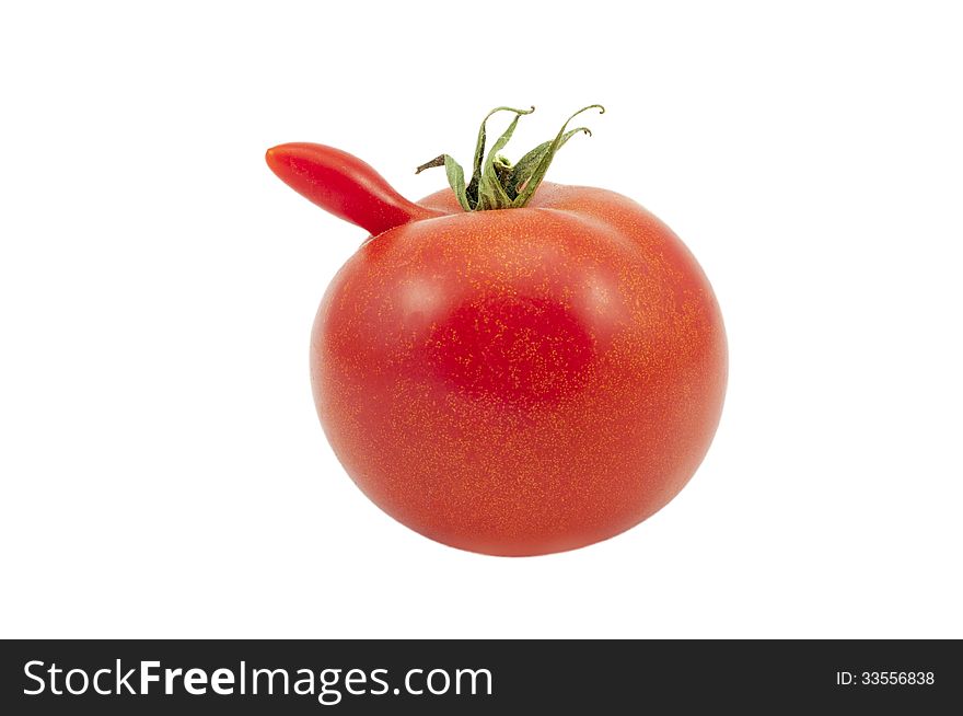 Genuine Homegrown Red Tomato With A Nose