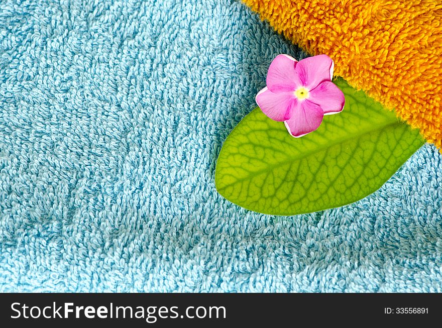 A small pink flower over an orange towel. A small pink flower over an orange towel