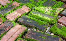 Moss And Brick Royalty Free Stock Photography Moss And Brick Royalty Free Stock Photography
