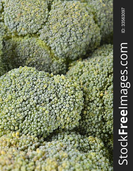 Green broccoli background close-up