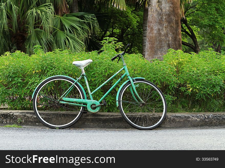 Old Bicycle In The Park