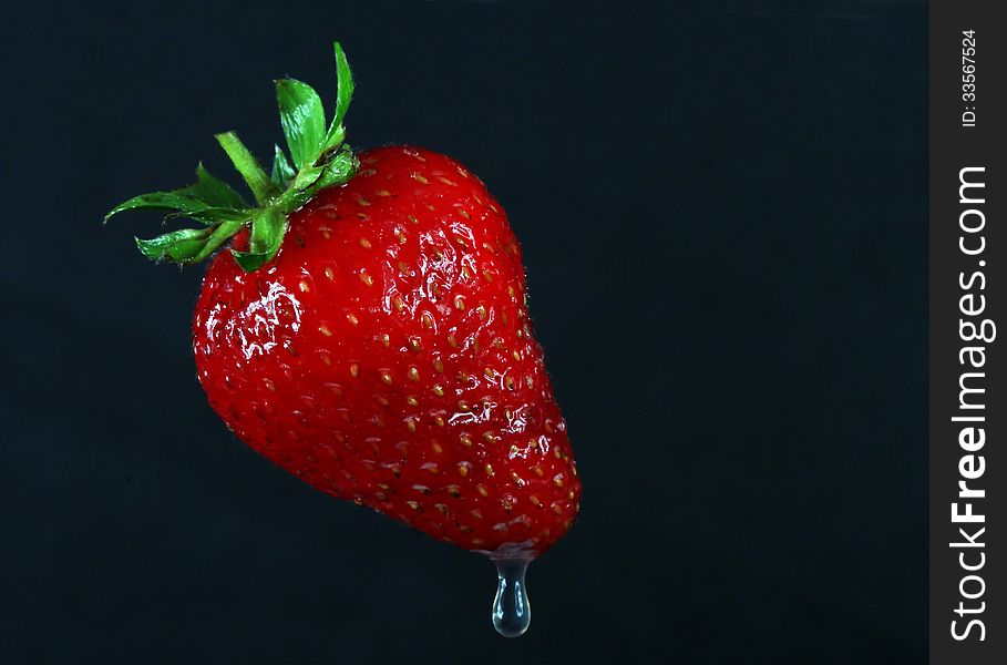 Single Ripe Strawberry With Water Drip Against Black Background. Single Ripe Strawberry With Water Drip Against Black Background