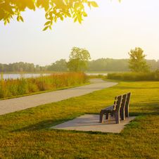 Bench In The Park Stock Image