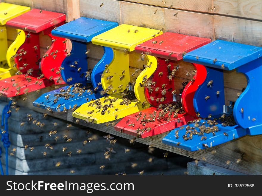 Colored beehives with bees flying. Colored beehives with bees flying