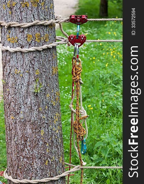 Rope with knots at tree trunk for cable-stayed bridge