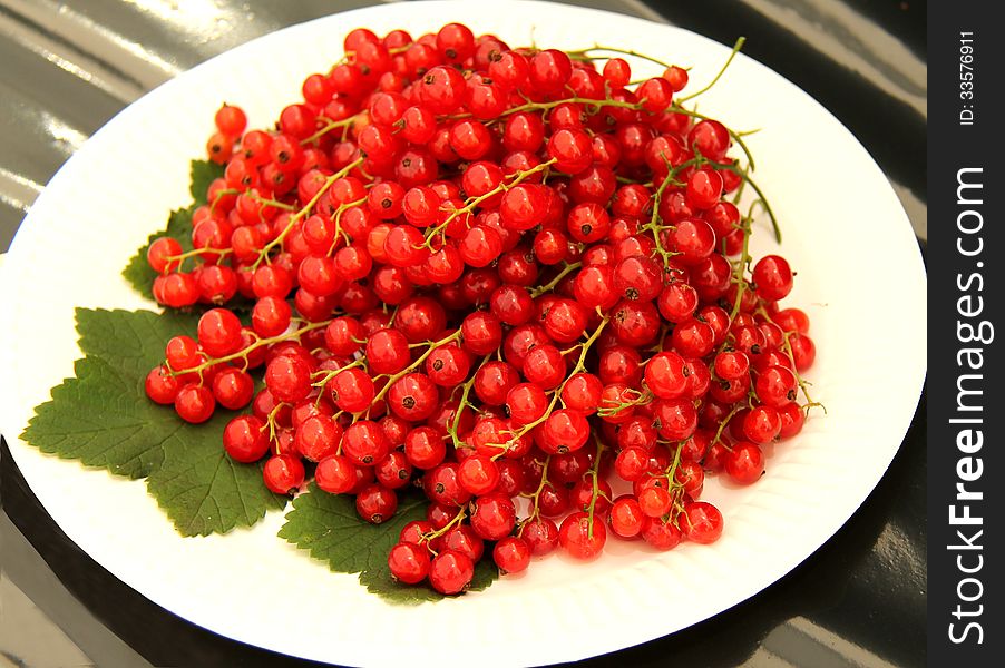 A Display of Redcurrants and Leaves on a Paper Plate. A Display of Redcurrants and Leaves on a Paper Plate.