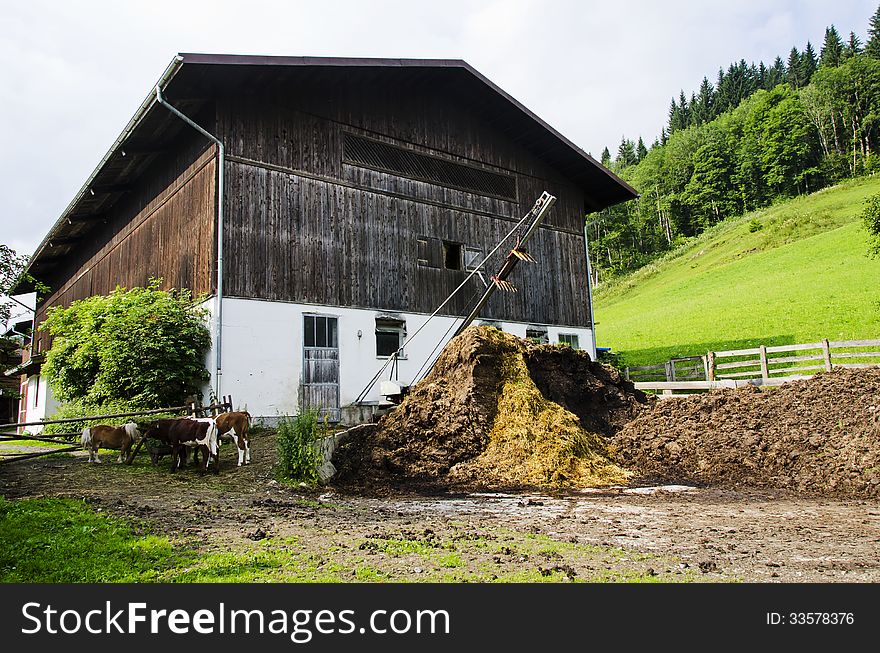 Barn in austrian farm in front of mountains