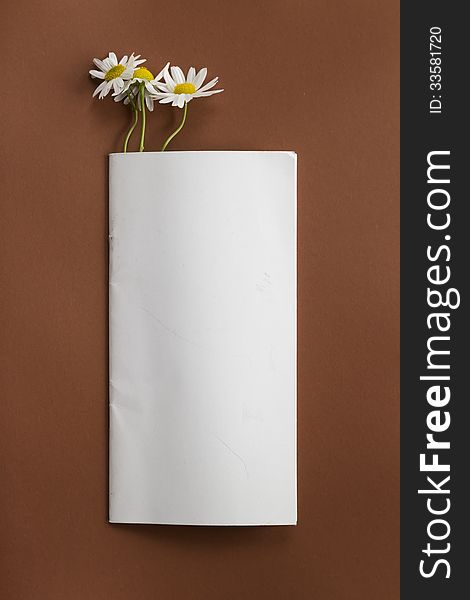 Notepad with camomile