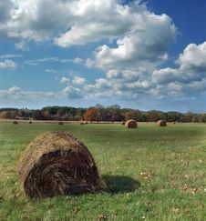 Hay Bales In A Field Stock Photos Hay Bales In A Field Stock Photos