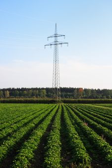 Field With Power Pole Royalty Free Stock Images Field With Power Pole Royalty Free Stock Images