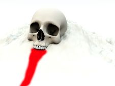 Skull In White 76 Royalty Free Stock Photography Skull In White 76 Royalty Free Stock Photography