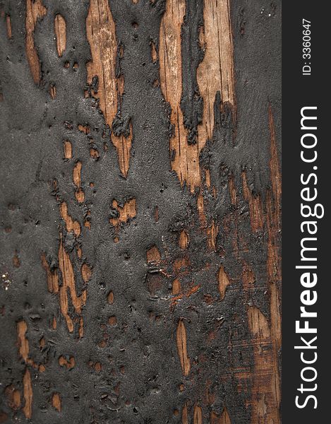 Wood texture covered with tar. Wood texture covered with tar
