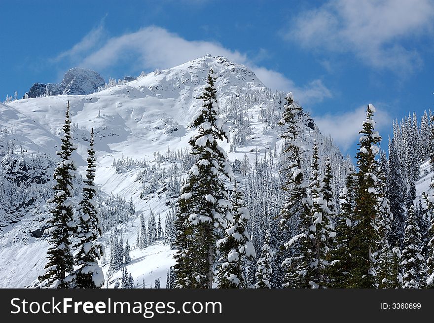 Early snow at Cascade National Park in Washington state. Early snow at Cascade National Park in Washington state