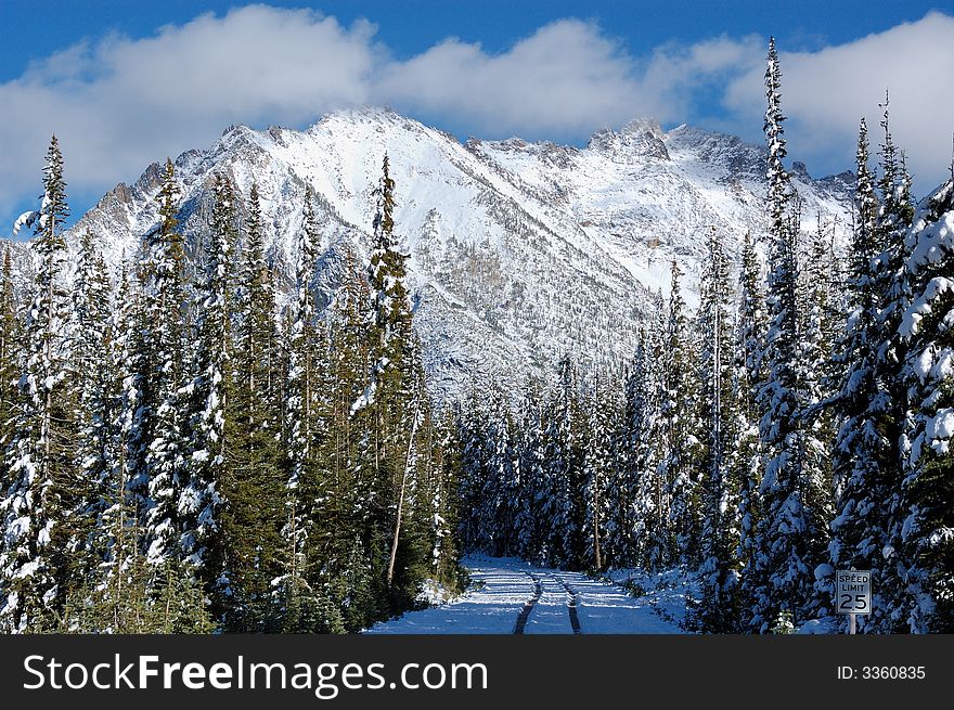Early snow at Cascade National Park in Washington state. Early snow at Cascade National Park in Washington state