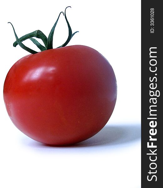 Single tomato on a white background, shot from the side. Single tomato on a white background, shot from the side