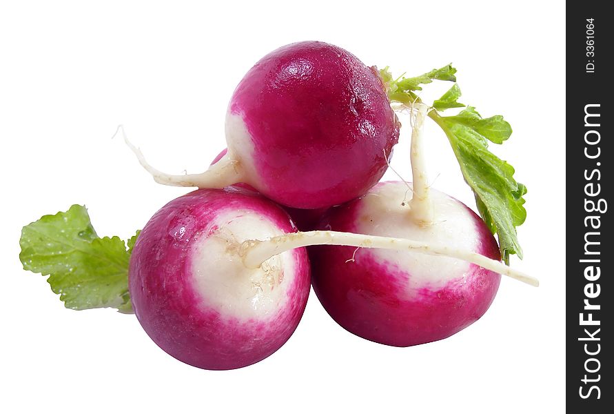Radish vegetables still-life isolated with  clipping path included