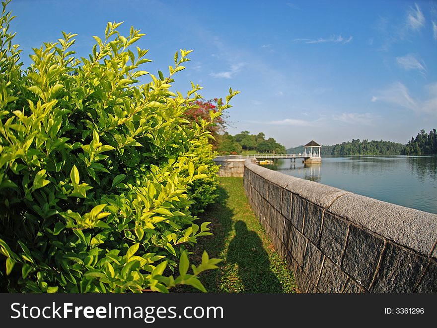 Reservoir bank, water and plants