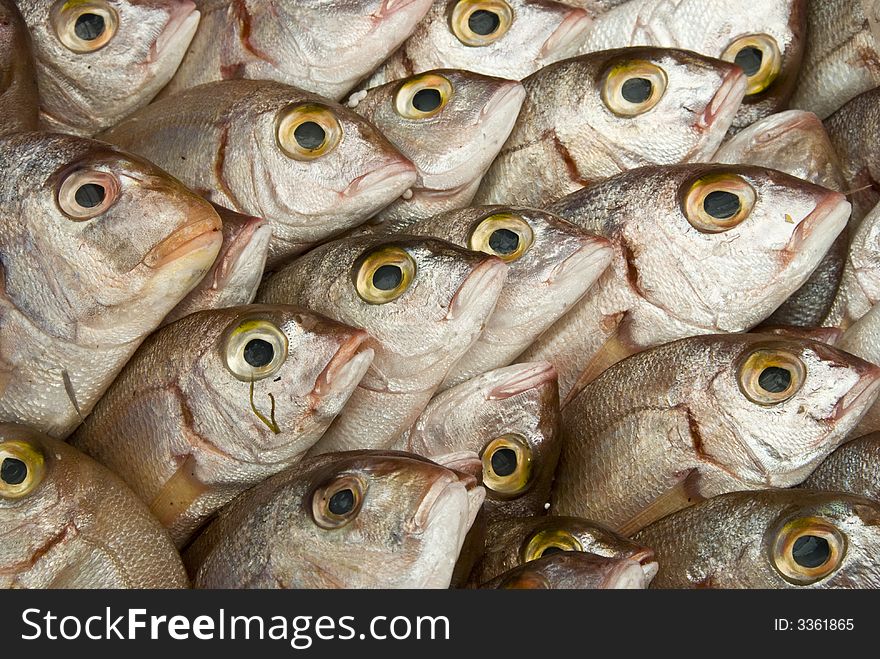 Fresh Fish in a food market