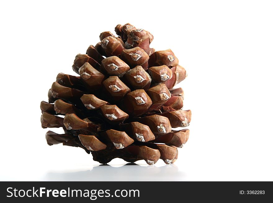 Cone isolated in white background