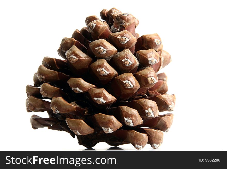 Cone isolated in white background