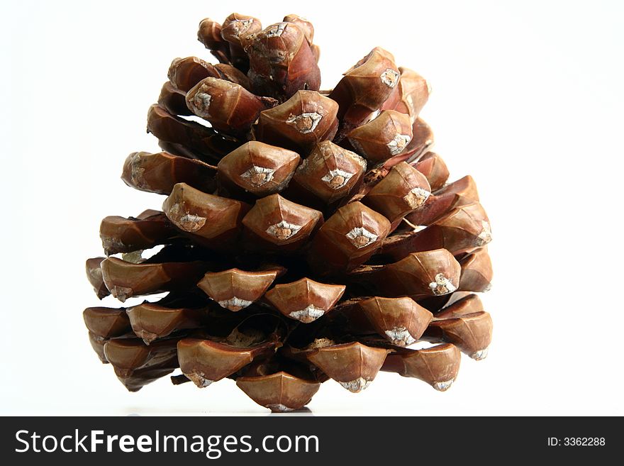 Cone Isolated In White Backgro
