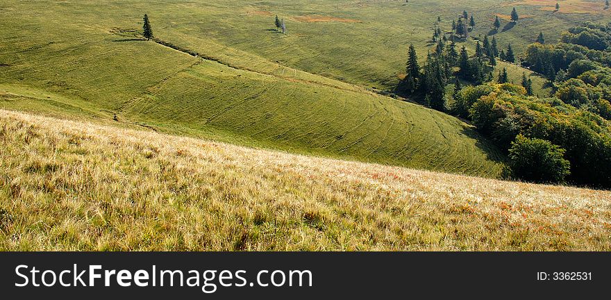Beautiful landscape in green Carpatian mountains with hills