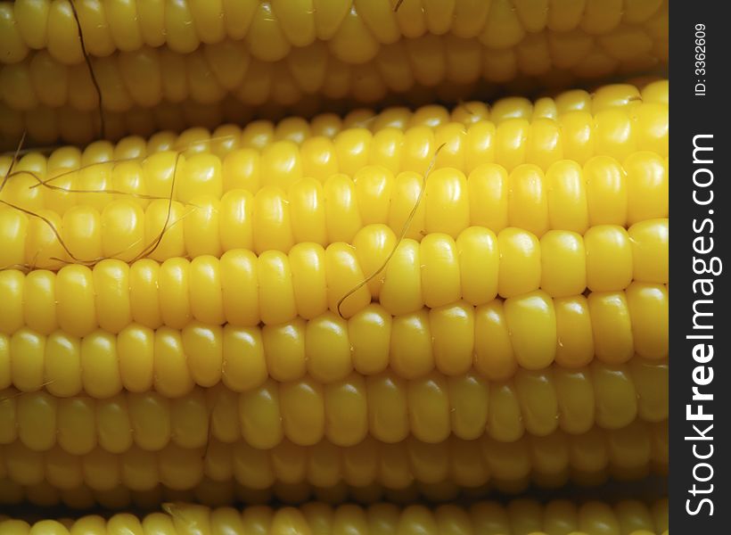 Yellow corn ear macro close-up
