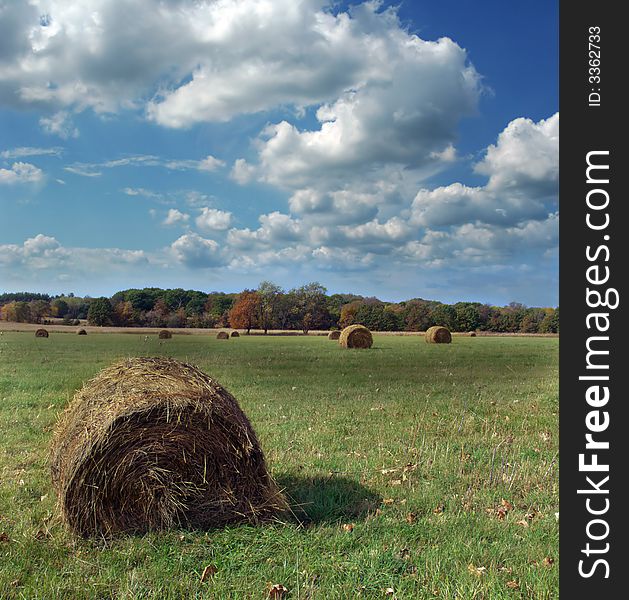 Hay bales in a field on a sunny autumn day.