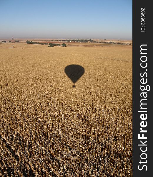 A hot air balloon passes over a grain field. A hot air balloon passes over a grain field