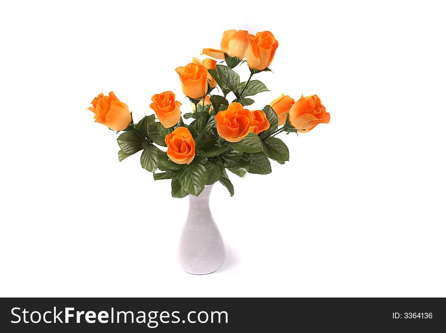 Roses in the vase on the white background