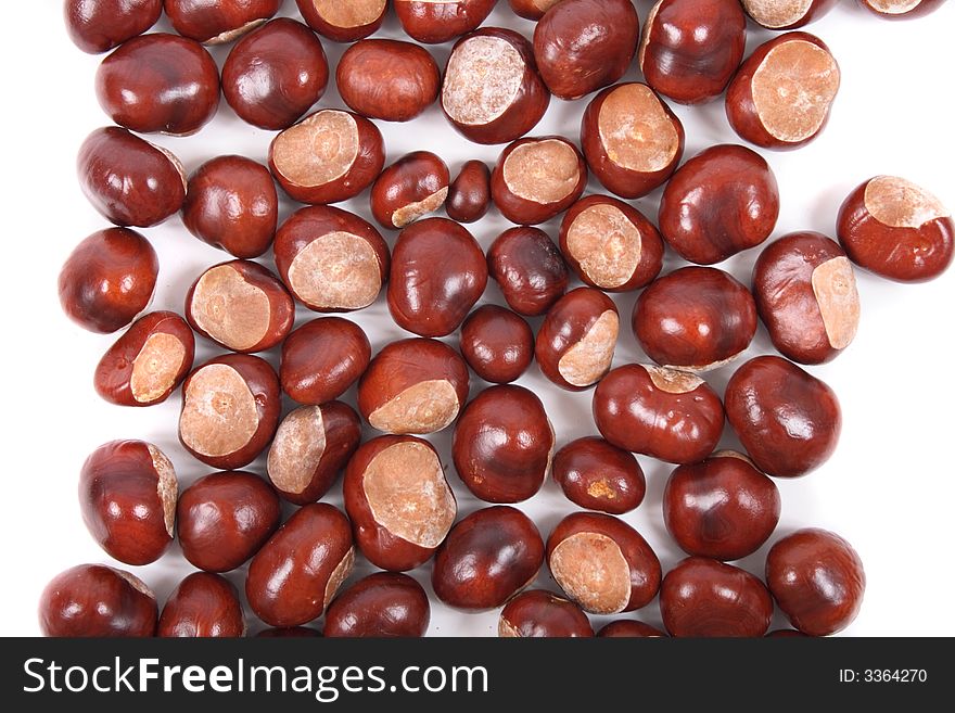 Fresh brown chestnuts on the white background