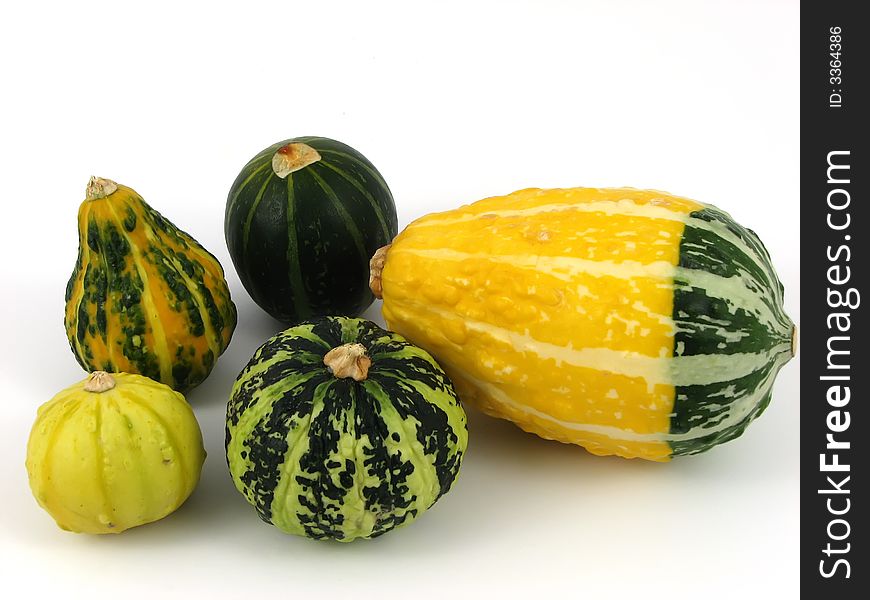 Pumpkin at decoration and compositions of vegetables. Pumpkin at decoration and compositions of vegetables