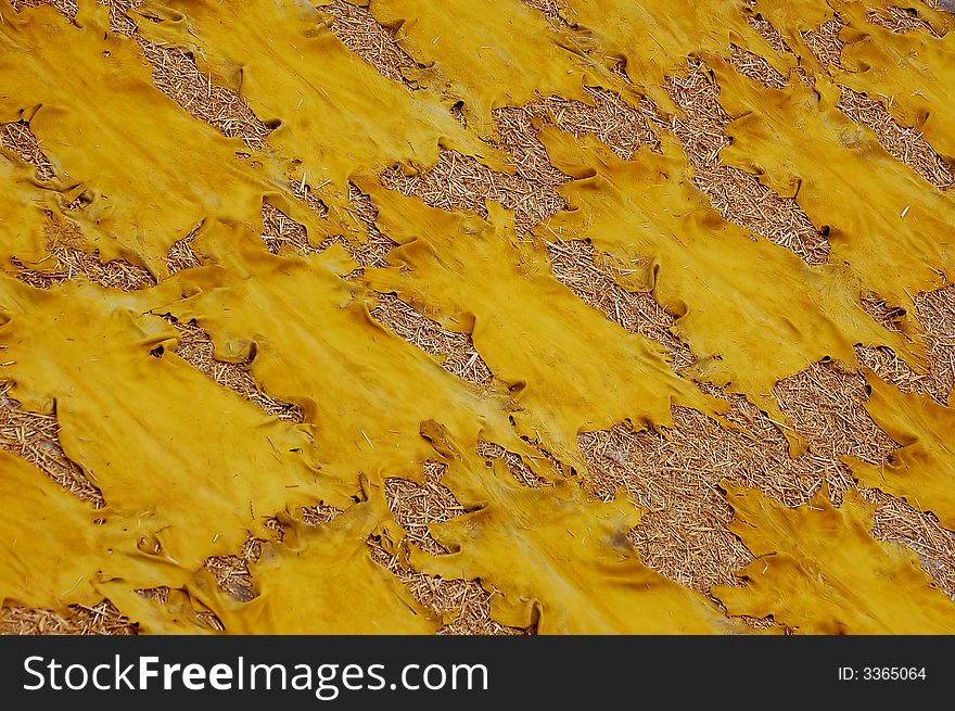 Tannery in Morocco - Fes - drying leather