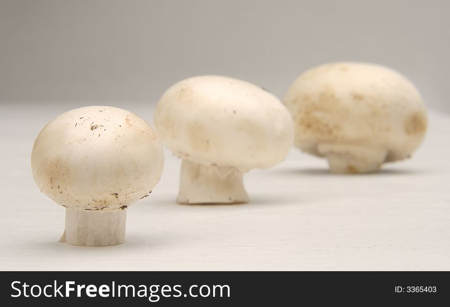 Three fresh champignons standing on stems