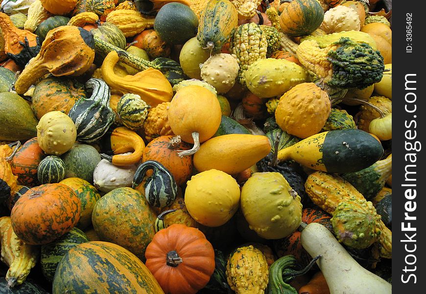 Fall gourds on sale at a farm stand. Fall gourds on sale at a farm stand