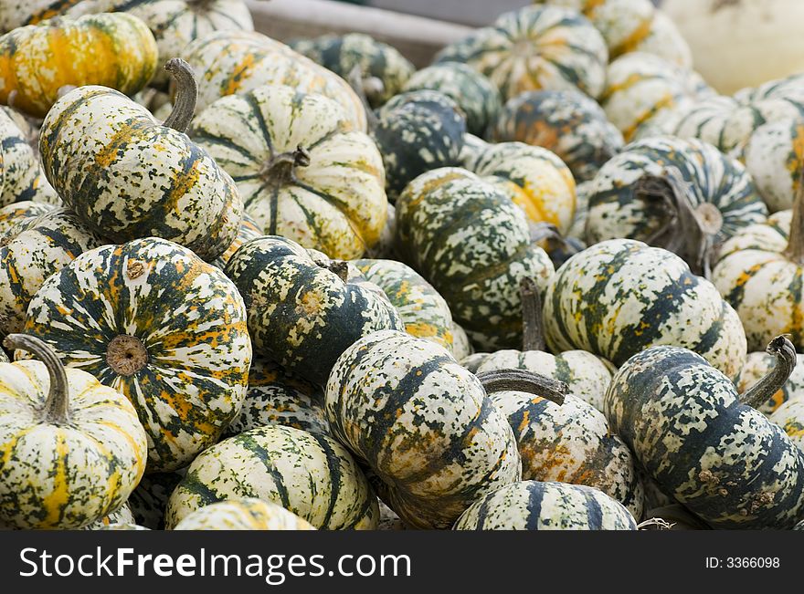 Bin of green and white decorative gourds