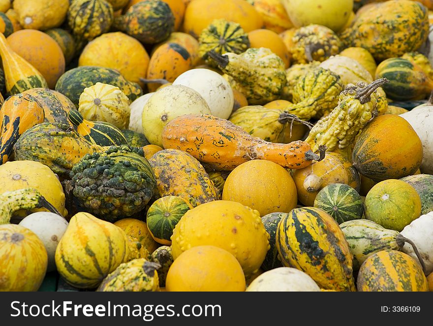 A bin full of colourful autumn gourds. A bin full of colourful autumn gourds