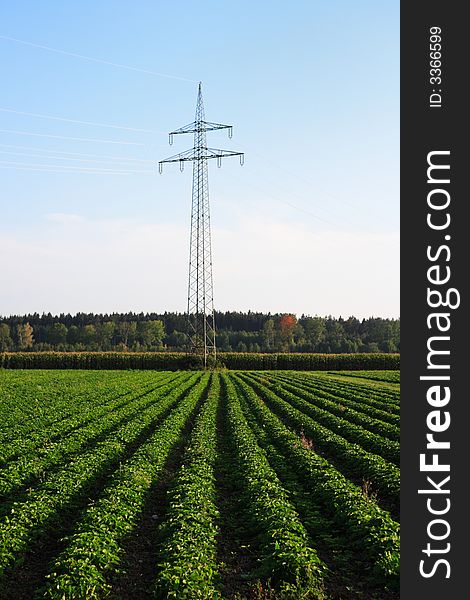 Field with power pole against sky