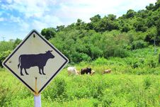 Cow Sign Stock Images
